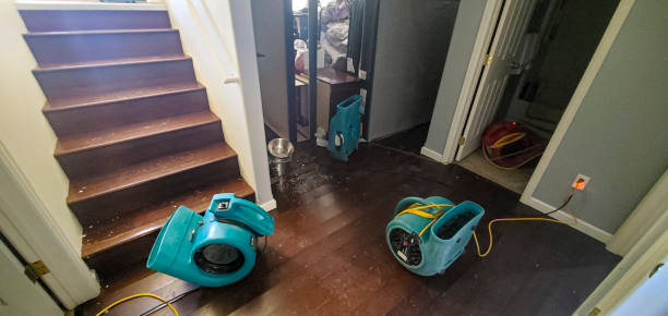 Best Carpet water damage restoration  in Minster, OH