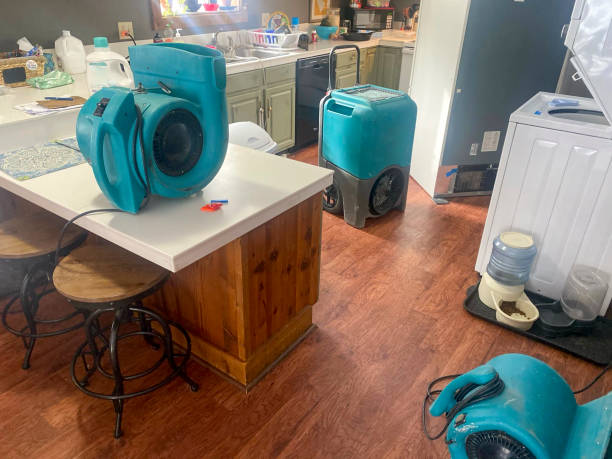 Best 24/7 water damage repair  in Minster, OH