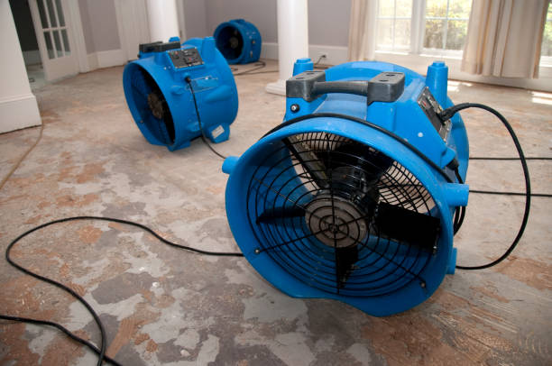 Best Ceiling water damage repair  in Minster, OH